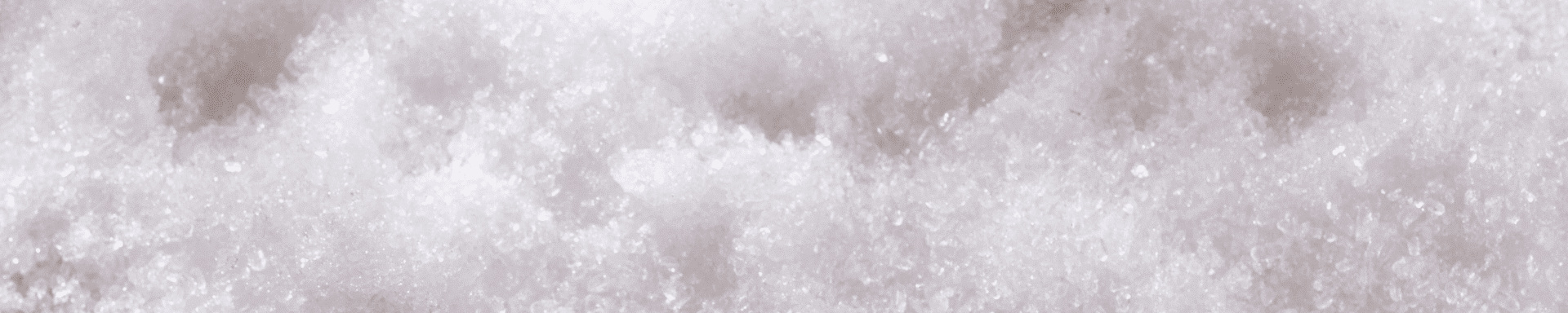 MIP-Website---Headerfotos-45