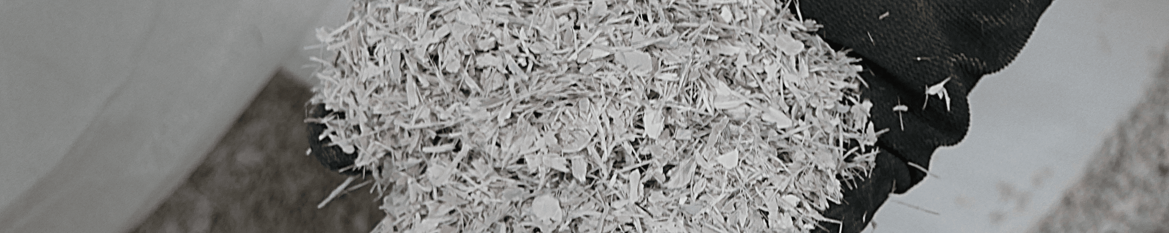 MIP-Website---Headerfotos-11