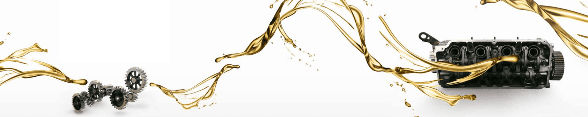 MIP-Website---Headerfotos-8