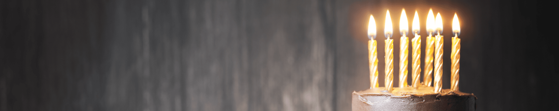 MIP-Website---Headerfotos-1